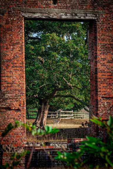 Bradgate Park, near Leicester