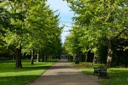 A park pathway, Cardiff