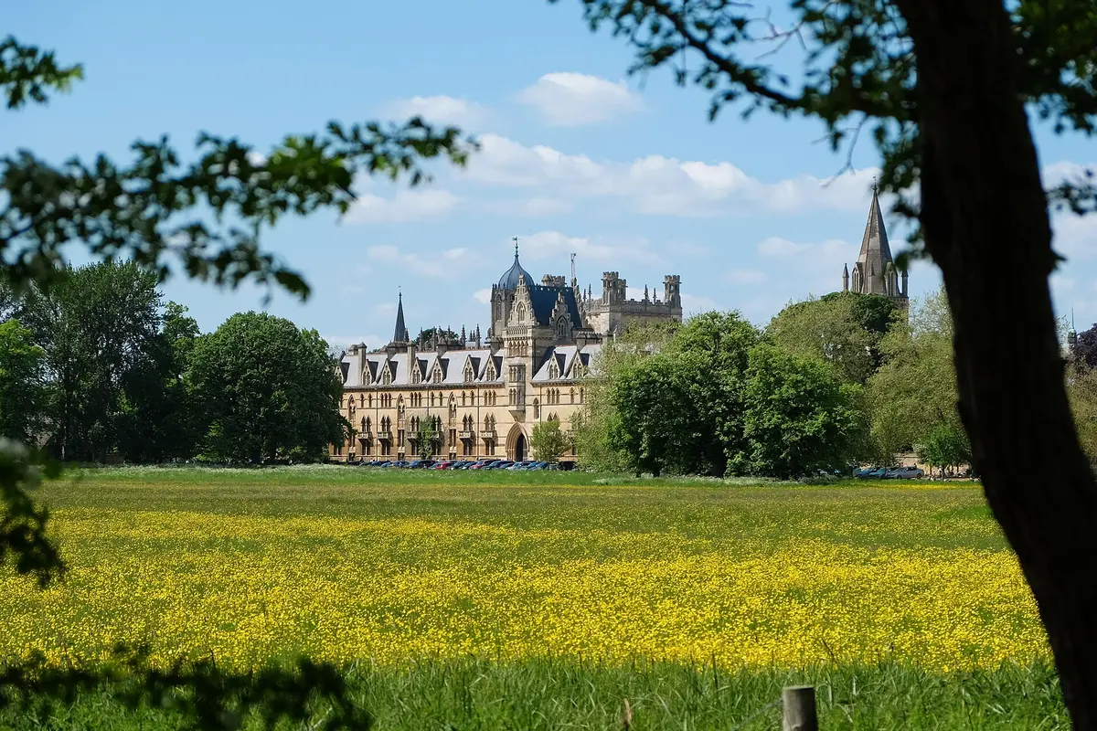 Buttercups in Christ Church Meadow with a college beyond