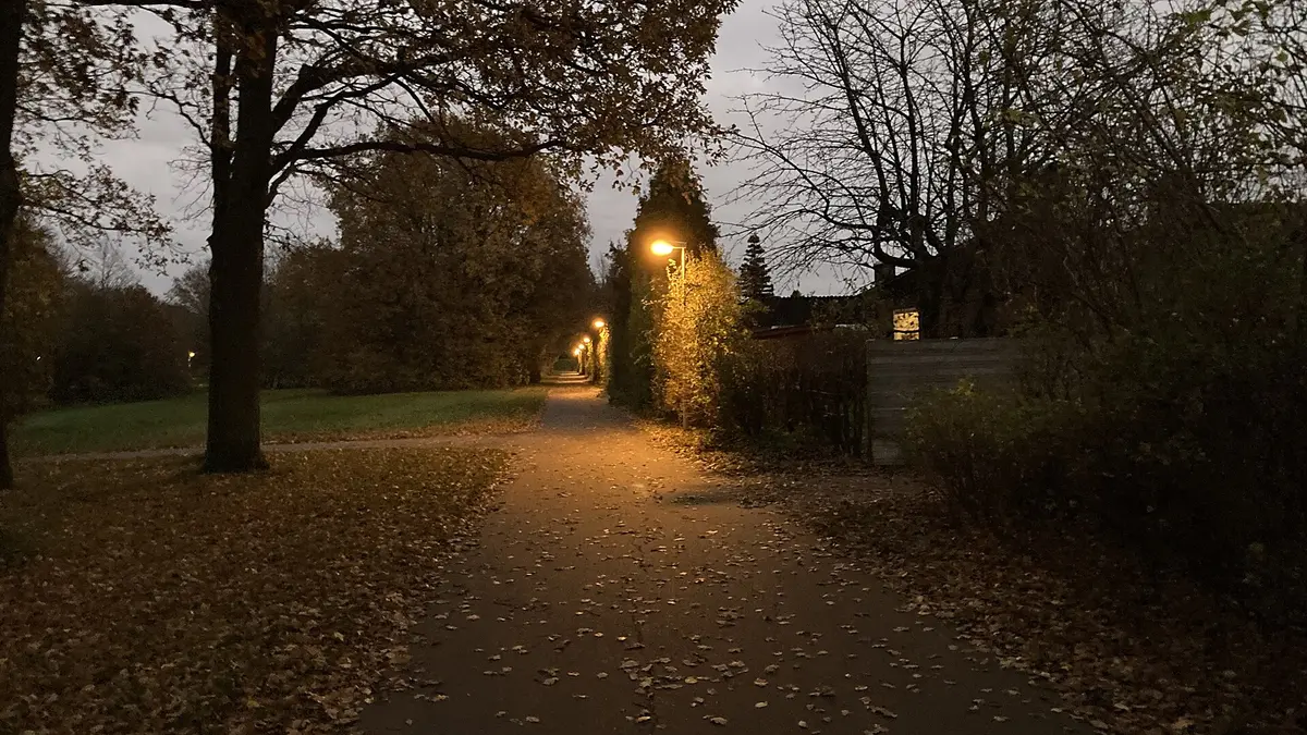 A lamp lit park path at dusk in autumn