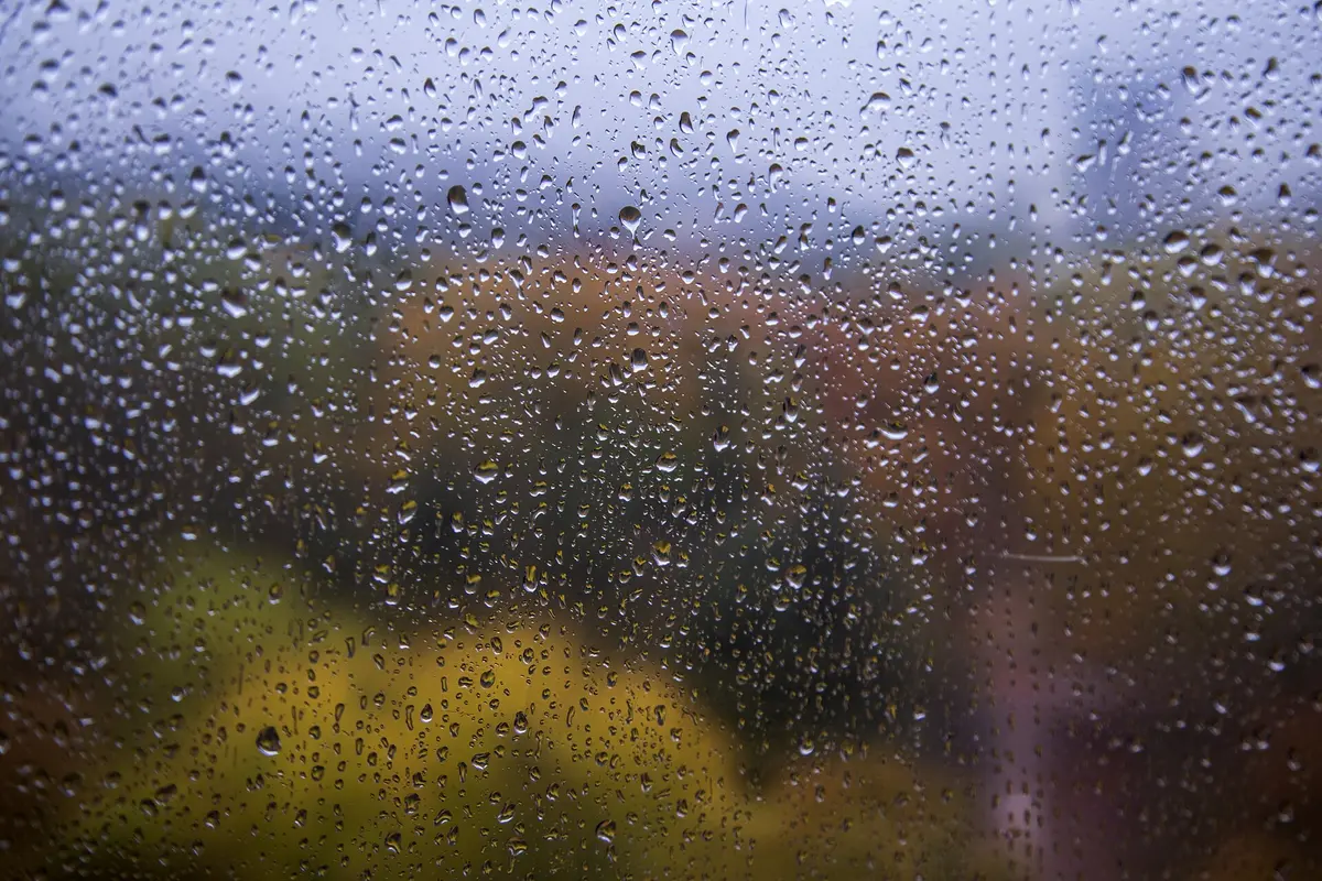 Autumn colours seen through a wet window